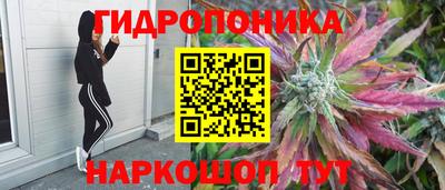 эйфоретик Краснознаменск