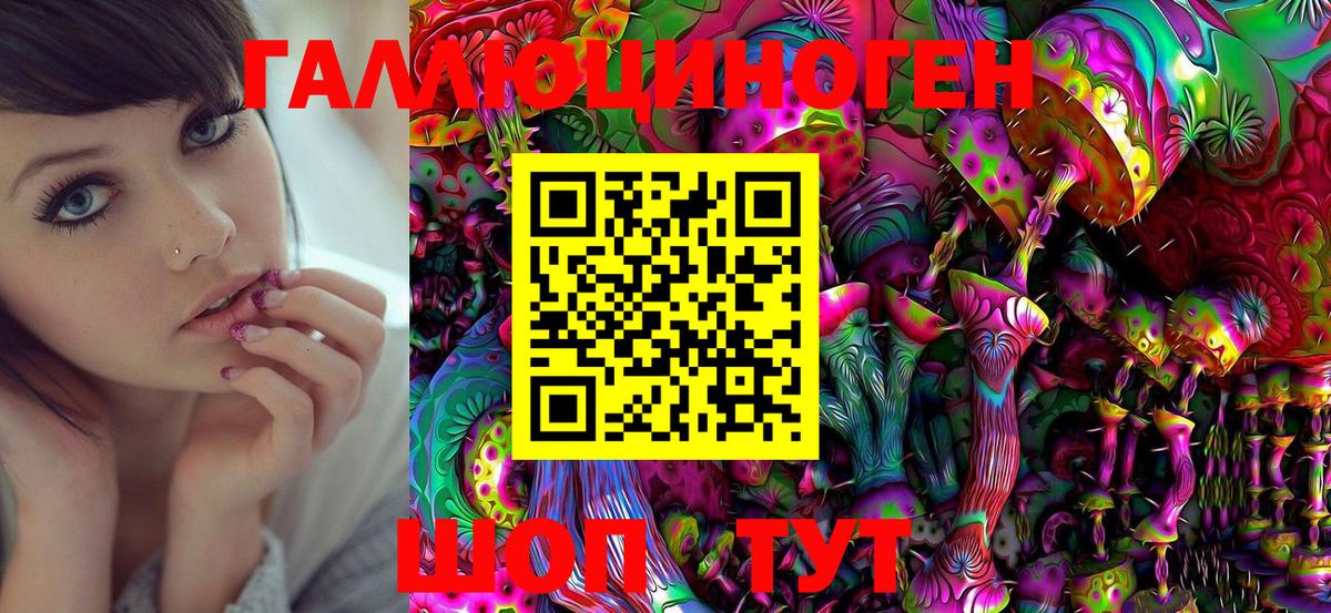 Галлюциногенные грибы Magic Shrooms  Вход с VPN  Галлюциногенные грибы Psilocybine cubensis  Королёв 