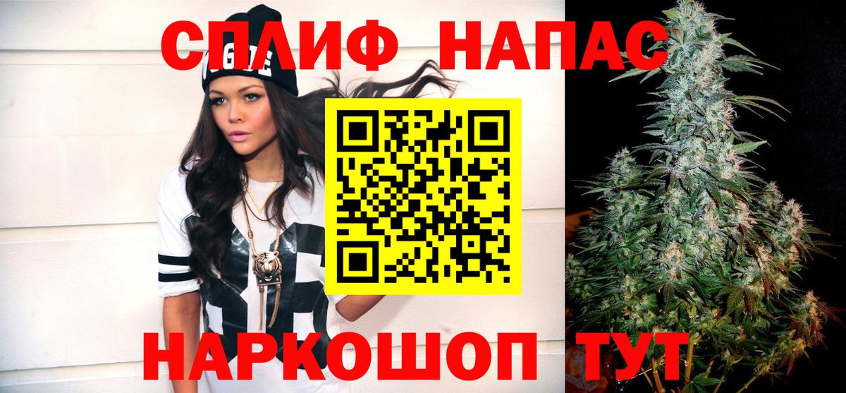 Бошки марихуана планчик  Бошки Шишки VHQ  Королёв  Вход с VPN  Канабис Bruce Banner  Марихуана White Widow 
